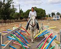 western-andalusian-horse