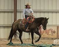 cowboy-mounted-shooting-quarter-horse