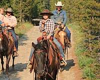 trail-riding-quarter-horse