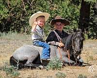 blue-roan-athletic-pony