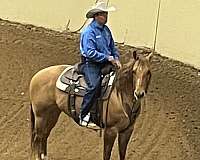 cowboy-mounted-shooting-quarter-horse