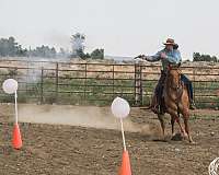 ranch-versatility-quarter-horse