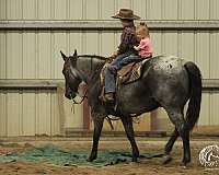 ranch-work-quarter-horse