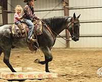 ranch-versatility-quarter-horse