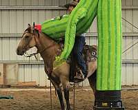 calf-roping-quarter-horse