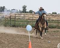 cowboy-mounted-shooting-quarter-horse