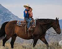 ranch-work-draft-horse