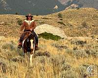 cowboy-mounted-shooting-paint-horse