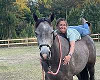 aqha-horse