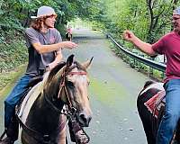 husband-safe-paint-horse