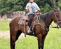 bay-roan-white-hairs-on-forehe-horse