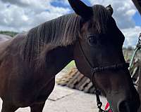 white-hair-at-root-of-tail