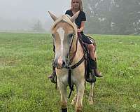 palomino-blaze-stripped-front-hoof-horse