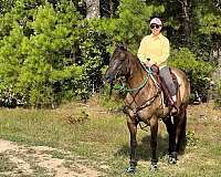 ranch-versatility-quarter-horse