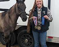 roping-quarter-horse