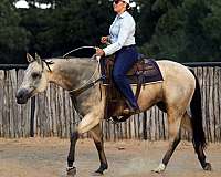 ranch-quarter-horse