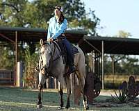 ranch-versatility-quarter-horse