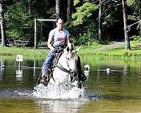 kid-safe-fjord-horse