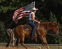 trail-riding-quarter-horse