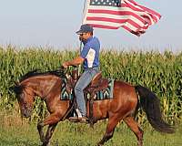 trail-riding-welsh-pony