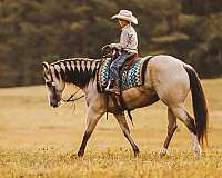 ranch-work-quarter-pony