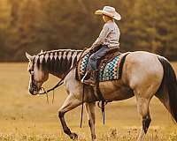 roping-quarter-pony