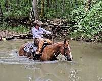 ranch-versatility-quarter-horse