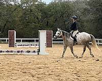 ranch-work-quarter-horse