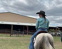 ridden-western-quarter-horse