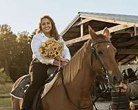 husband-safe-tennessee-walking-pony