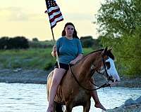 ranch-draft-horse