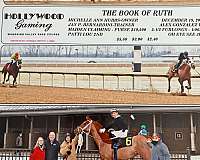 chestnut-thoroughbred-mare