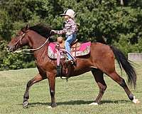 ranch-work-quarter-pony