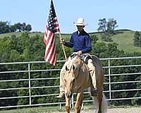 ranch-versatility-quarter-horse