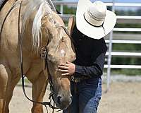 ranch-work-quarter-horse