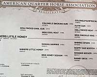 youth-quarter-horse