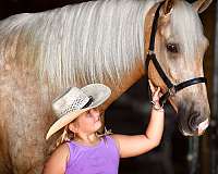 horse-riding-tennessee-walking