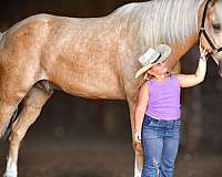 you-tennessee-walking-horse