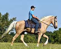 horse-riding