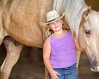 animals-tennessee-walking-horse