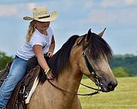 trail-horse-kentucky-mountain