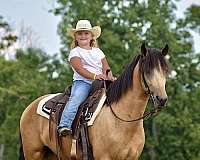 family-horse-kentucky-mountain