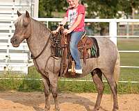 ranch-quarter-pony