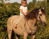 kid-safe-pony