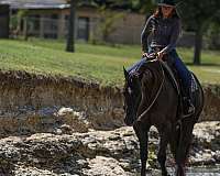 trail-riding-quarter-horse