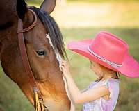 kid-safe-clydesdale-horse