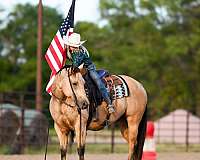 ranch-work-quarter-horse