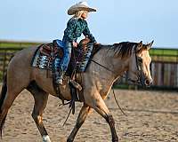 roping-quarter-horse