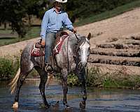 jumping-quarter-horse