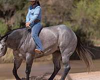 roping-quarter-horse